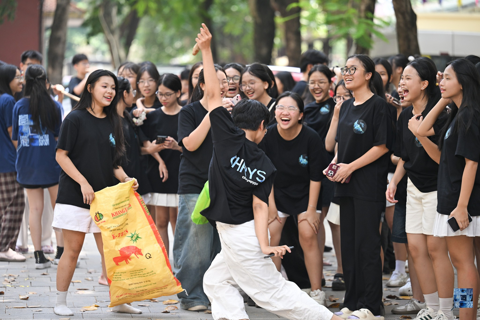 Sự cổ vũ nhiệt tình từ các đội tham gia